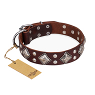 "King of Grace" FDT Artisan Stylish Leather Swiss Mountain Dog Collar with Old Silver-Like Plated Decorations