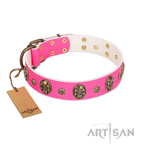 Decorated natural leather dog collar for basic training