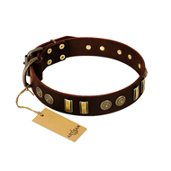 "Golden Elegance" FDT Artisan Brown Leather Swiss Mountain Dog Collar with Old Bronze-like Decorations