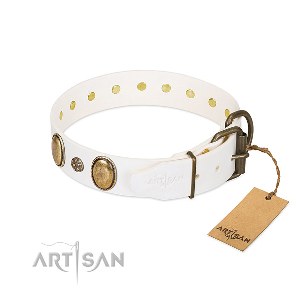 Stylish walking top rate leather dog collar