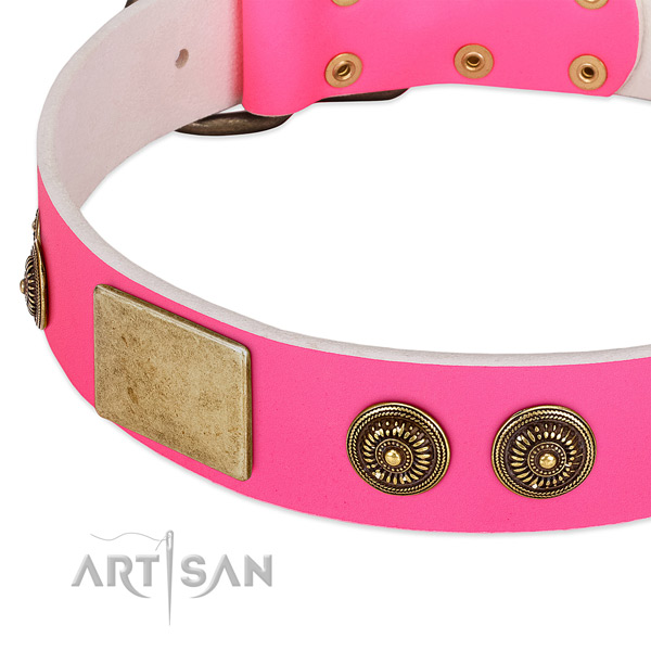 Designer dog collar crafted for your handsome doggie