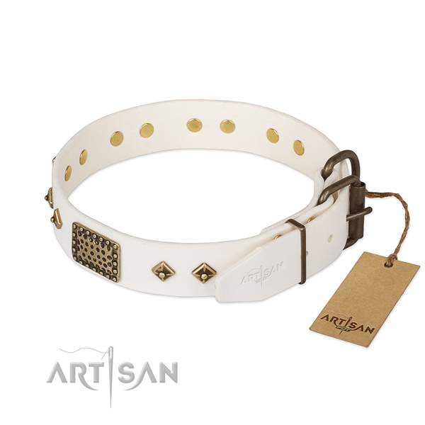 Full grain genuine leather dog collar with reliable fittings and adornments