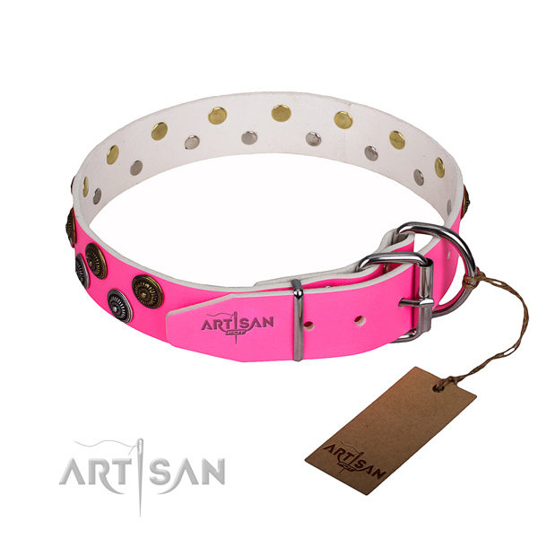 Daily use adorned dog collar of top quality full grain genuine leather