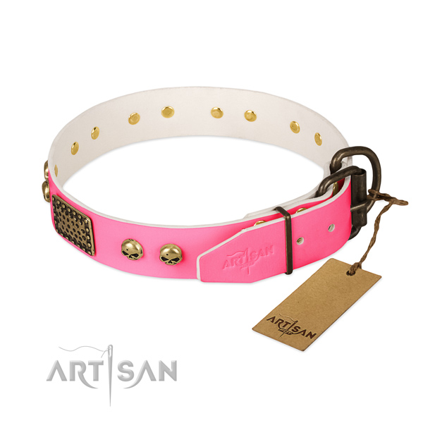 Rust resistant buckle on handy use dog collar