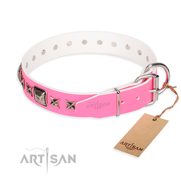 Strong embellished dog collar of natural leather