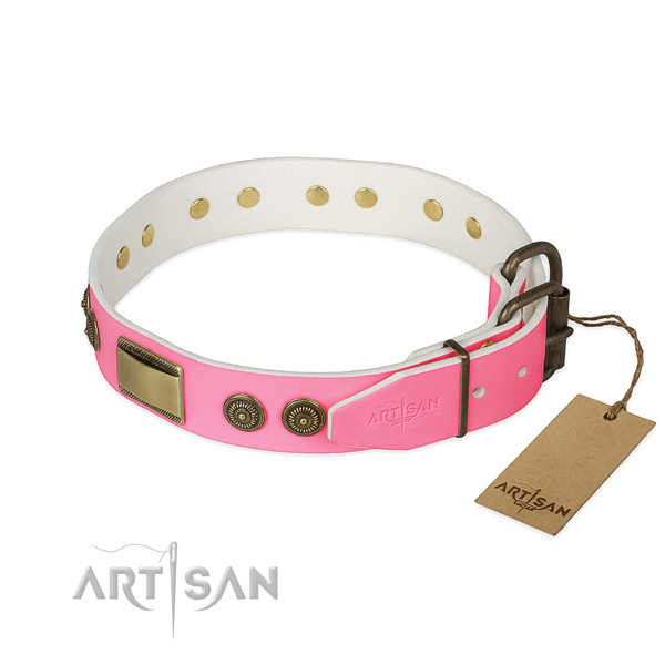 Corrosion resistant decorations on everyday use dog collar