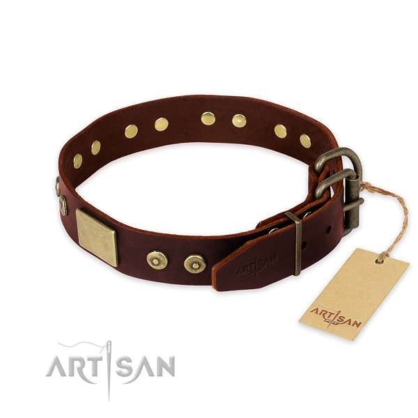Corrosion resistant decorations on everyday use dog collar