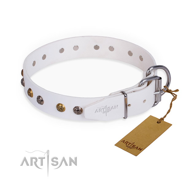 Full grain natural leather dog collar with designer rust resistant adornments