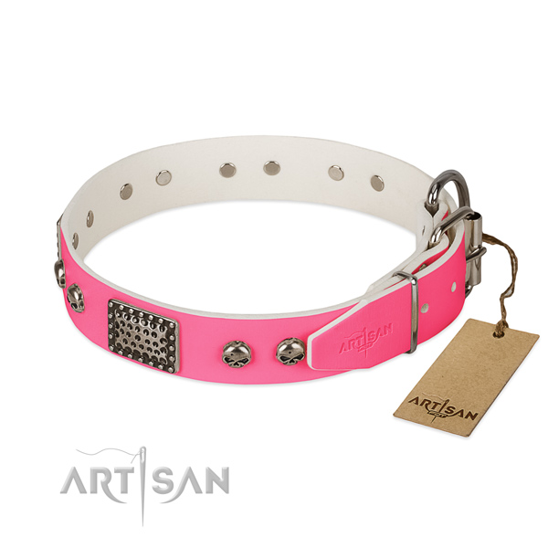 Corrosion resistant adornments on handy use dog collar