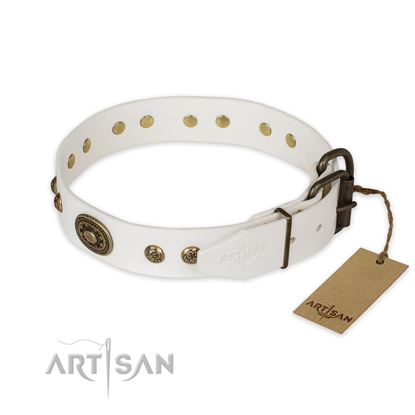 Rust resistant buckle on leather collar for basic training your doggie