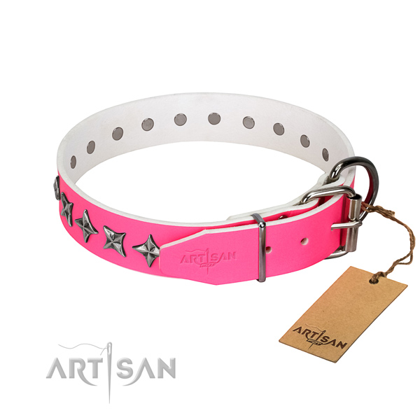 Durable full grain natural leather dog collar with impressive adornments