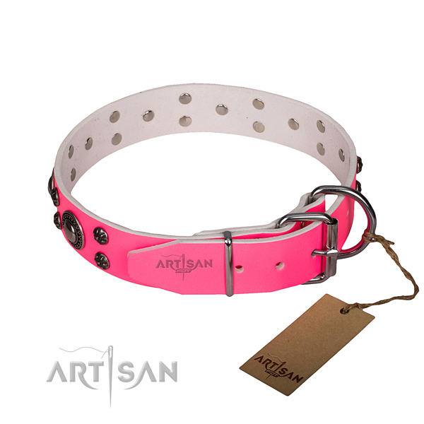 Basic training studded dog collar of top notch natural leather