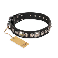 "Eternal Beauty and Style" FDT Artisan Adorned Black Leather Swiss Mountain Dog Collar