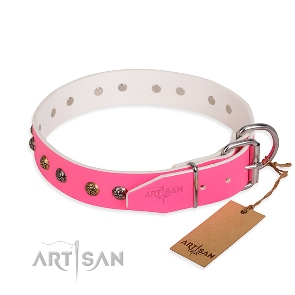 Full grain natural leather dog collar with unusual strong studs
