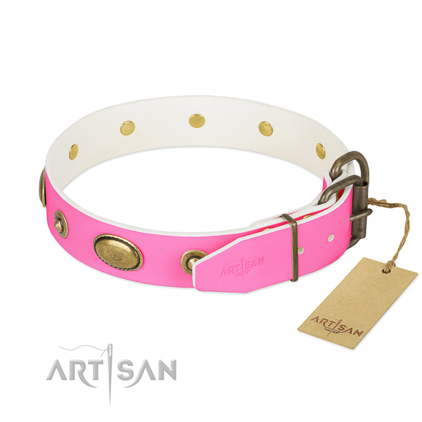 Rust resistant studs on full grain natural leather dog collar for your four-legged friend