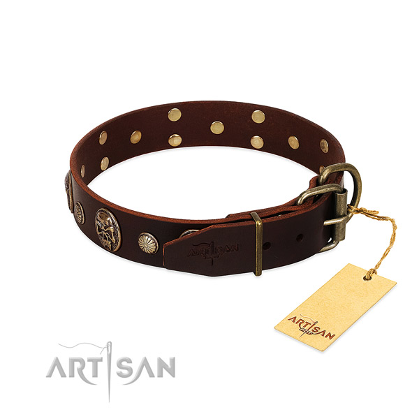 Corrosion resistant decorations on everyday use dog collar