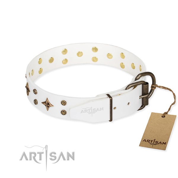 Daily walking embellished dog collar of strong leather
