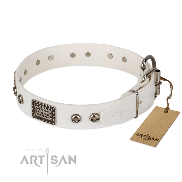 Corrosion proof adornments on comfy wearing dog collar
