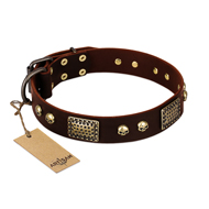 "Magic Amulet" Brown Leather Swiss Mountain Dog Collar with Skulls and Plates