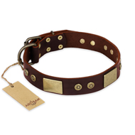 "Shining Armour" FDT Artisan Brown Leather Swiss Mountain Dog Collar with Decorations