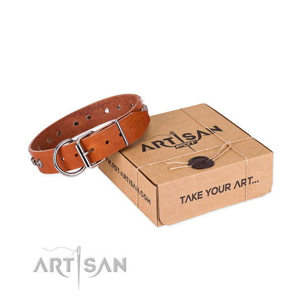Corrosion proof buckle on dog collar for walking