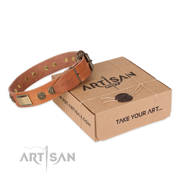 Reliable D-ring on full grain leather dog collar for daily walking