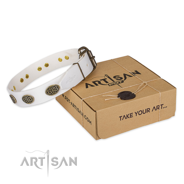 Strong buckle on genuine leather collar for your stylish pet