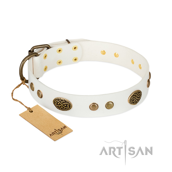 Corrosion proof embellishments on full grain genuine leather dog collar for your canine