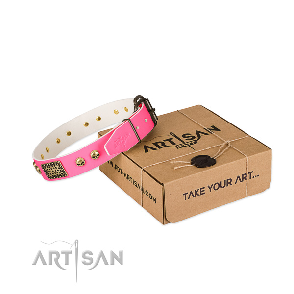 Corrosion resistant hardware on dog collar for daily use