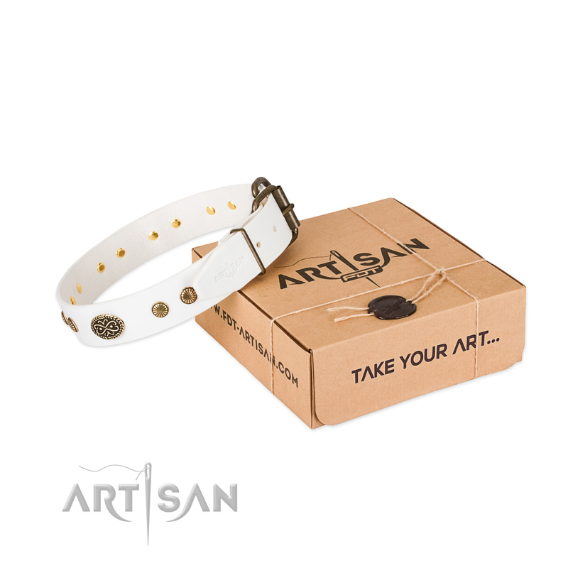 Strong decorations on genuine leather dog collar for your canine