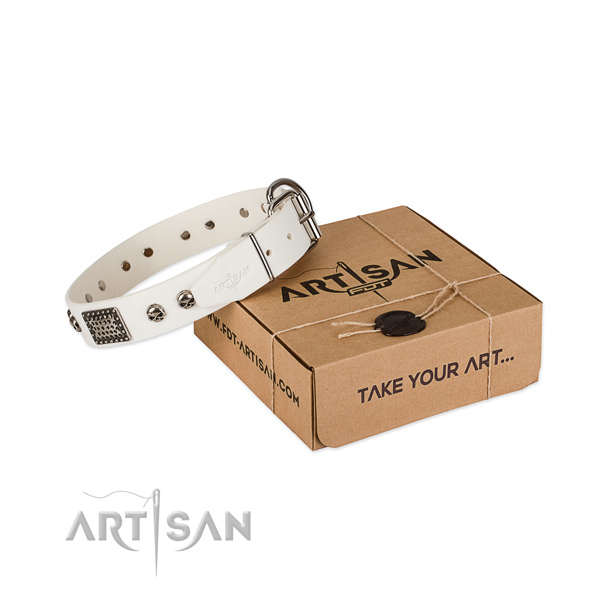 Rust resistant D-ring on dog collar for everyday walking
