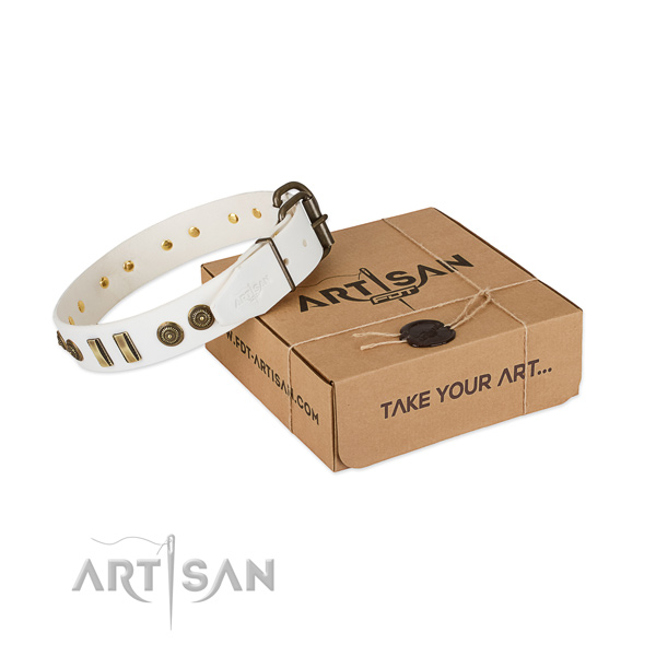 Durable adornments on leather dog collar for your four-legged friend