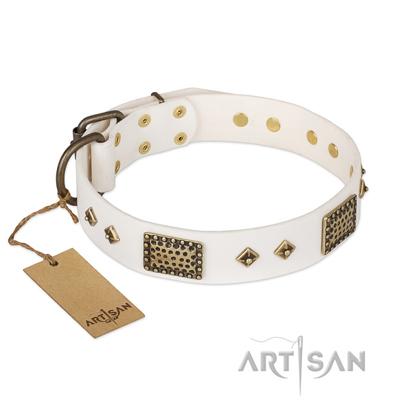 Handcrafted full grain leather dog collar for everyday walking