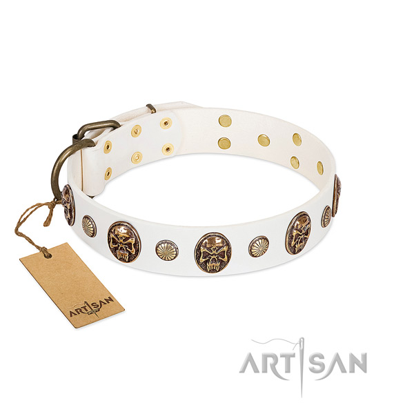 Embellished full grain leather dog collar for daily walking