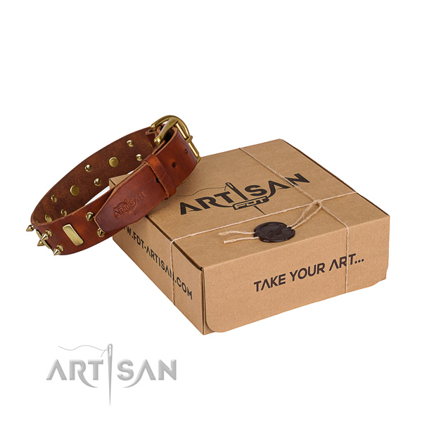Walking dog collar of best quality natural leather with embellishments