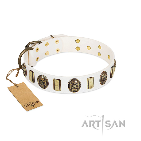 Awesome leather dog collar for walking