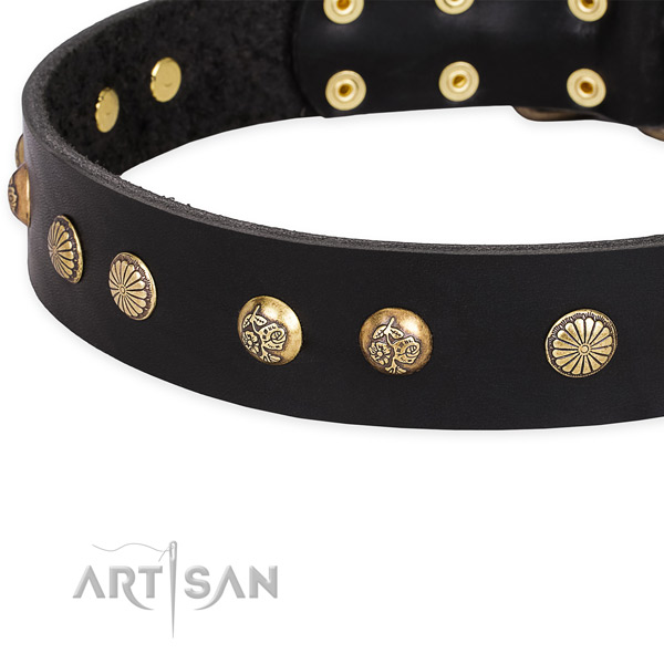 Genuine leather collar with reliable D-ring for your handsome four-legged friend