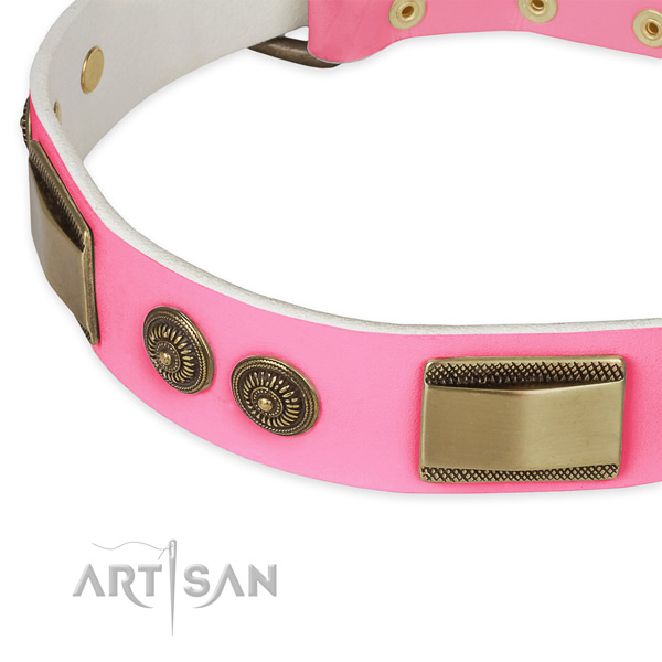 Full grain leather dog collar with decorations for stylish walking