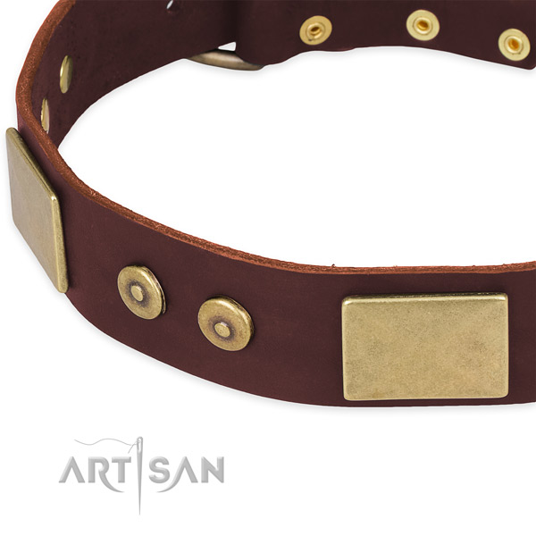 Full grain leather dog collar with decorations for stylish walking
