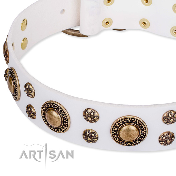 Daily walking adorned dog collar of top quality leather