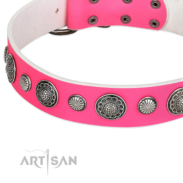 Genuine leather collar with corrosion proof fittings for your attractive pet