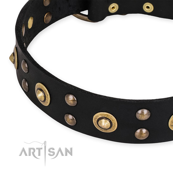 Full grain leather collar with corrosion resistant hardware for your beautiful dog