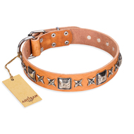 "Glamour Finery" FDT Artisan Female Swiss Mountain Dog collar of natural leather with stylish old-looking circles