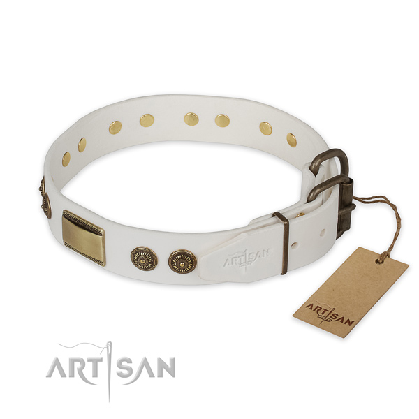 Strong traditional buckle on leather collar for basic training your doggie