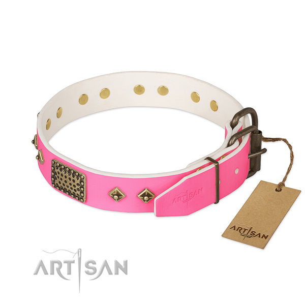 Durable fittings on daily use dog collar