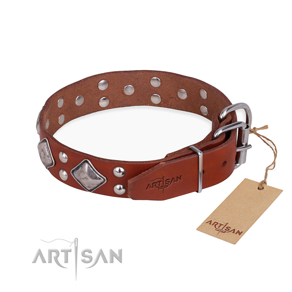 Full grain natural leather dog collar with unique rust resistant adornments