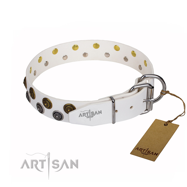 Everyday walking adorned dog collar of reliable full grain genuine leather