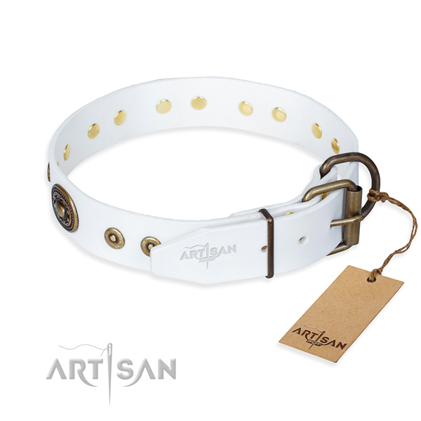 Full grain leather dog collar made of quality material with strong embellishments
