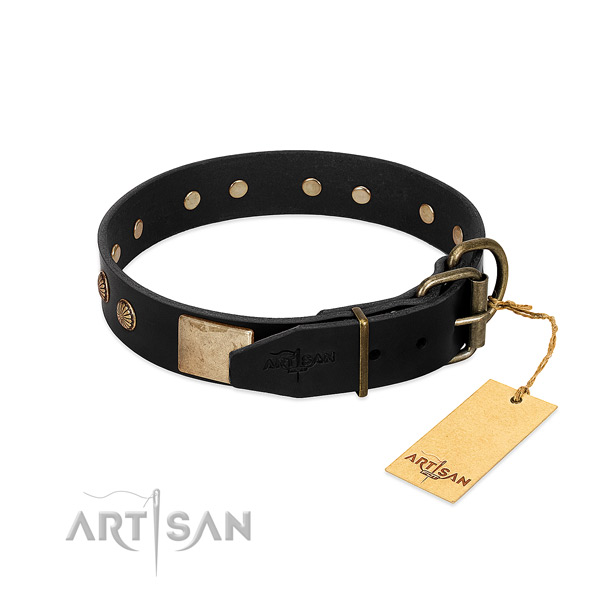 Corrosion resistant decorations on comfy wearing dog collar