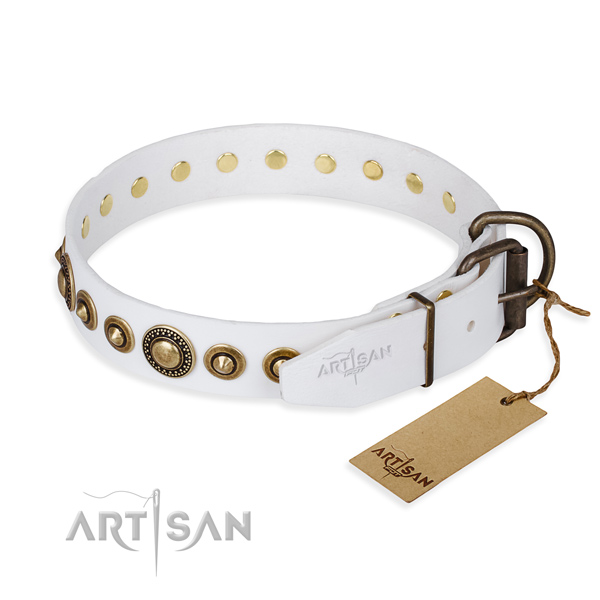 Flexible leather dog collar created for basic training